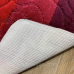 Комплект килимів до ванної кімнати 60х100 60х50 VONALDI Burgundy